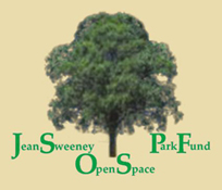 Coastal Oak Tree Logo