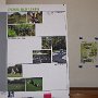 Esel boards display the many different features available to vote on for inclusion in the park.  Beside eace board is a picture of the votes cast in the first community meeting.