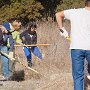 Volunteers digging up the weeds that had grown pretty tall. 