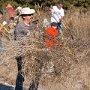 Hawling the weeds away one arm load at a time.