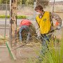 Volunteer workers cleaning more weeds from the work site.